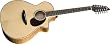 Breedlove Atlas Stage J350/EF-12 Acoustic Electric Guitar