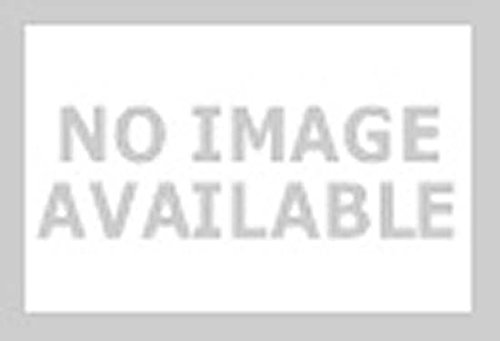 Bachmann Industries Large 