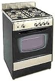 Avanti DG201BS 20 inch Gas Range (Stainless Steel)