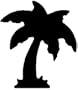 Plaid All Night Media Punch , Palm Tree
