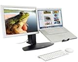 Neo Flex Combo Stand