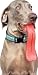 Dog Rubber Tongue Ball Toy Large Sized Tug of War