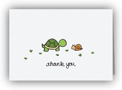 The Turtle & The Snail Thank You Cards