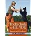 hunde - Fun