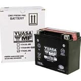 YUASA YTX14-BS Maintenance Free Battery by Yuasa