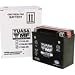 YUASA YTX14-BS Maintenance Free Battery