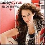 Fly on the Wall