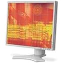 NEC LCD1990SXp 19-Inch 1280X1024 LCD Monitor (White)