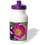Jerry Funk Photo Artisan Flowers - Decorative colorful garden botanic classic plant SW Southwest Desert cactus red gold flower - Water Bottles