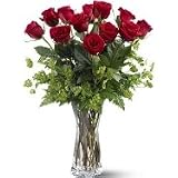 Elegant Red Roses by Angelici
