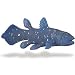 Wild Safari Coelacanth