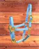 Hamilton Adjustable Halter With Snap For Ponies