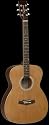 Tanglewood TFA Solid Cedar Top Acoustic Guitar