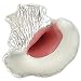 Enamel Conch Sea Shell Traditional 925 Sterling Silver Vintage Style Charm
