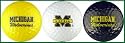 University of Michigan Golf Balls - NCAA Sports Team Merchandise