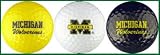 University of Michigan Golf Balls