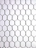 50 meters of Chicken Wire 600x25x50mt. Wire netting 2FT High Outdoor Living