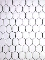 Childrens Toyshop  Outdoor Living : 50 meters of Chicken Wire 600x25x50mt. Wire netting 2FT High