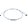 6ft DisplayPort Male to Mini DisplayPort Male 32AWG Cable (Gold Plated Connectors)