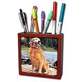 Dogs Golden Retriever - Golden Retriever - Tile Pen Holders-5 inch tile pen holder