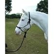 Hamilton Halter Company Rope Halter W Lead Avg Blk