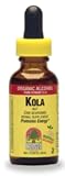 Kola Nut 1 fl. oz.