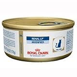 31kADACN8vL. SL160  Cat Diseases And Symptoms