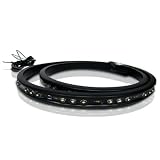 Eurolite NG8020 LED Truck Bed Accent Light
