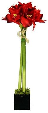 Amaryllis Lily Topiary Planter Color: Red