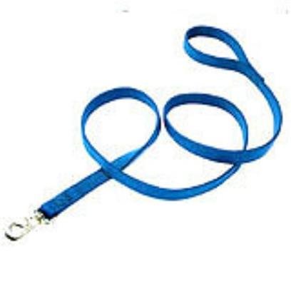 Nylon Double Lead Red 1X6 Ft