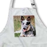 Dogs Australian Cattle - Australian Cattle Dog - Aprons