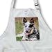Dogs Australian Cattle - Australian Cattle Dog - Aprons