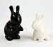Bunny Rabbit Salt & Pepper Shaker Set, Black and White By 180 Degrees