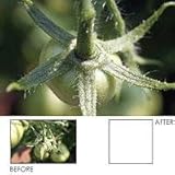 Hoya - Close-up lens