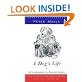 A Dog's Life
