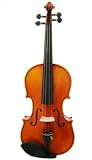 The Jinyin Violin Model S498 3/4 Outfit, Is A Fully Carved, Hand Graduated Instrument That Produces A Rich, Warm, Huge Sound.