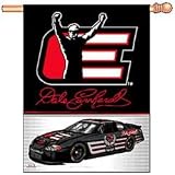 Dale Earnhardt Banner