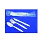 Medium Weight Cutlery Kit, Spork/Napkin/Straw (SCHOOLKIT) Category: Cutlery Kits