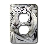 Tigers - White Tiger - Light Switch Covers - 2 plug outlet cover