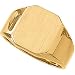 Jewelry : 14K White Gold Men's Signet Ring With Brush Finished Top