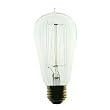 Ferrowatt 1910N - 1910 Antique Replica Light Bulb, 60 Watt, 120 Volt