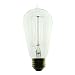 Ferrowatt 1910N - 1910 Antique Replica Light Bulb, 60 Watt, 120 Volt