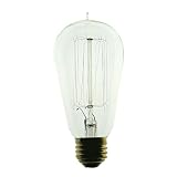 Ferrowatt 1910N - 1910 Antique Replica Light Bulb, 60 Watt, 120 Volt