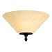 Westinghouse 69017 Hearthstone Two-Light Flush Mount Fixture, Burnished Bronze Patina Finish with Burnt Scavo Globe