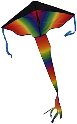 Huge Rainbow Color Kite One of Good outdoor activity Sport Good way to communicate between Kids and Parents It works perfectly no matter on the grass or on the beach