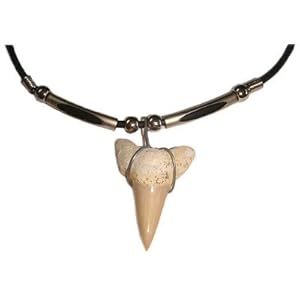 Amazon.com: XXL Shark Tooth Pendant Hawaiian Necklace: Jewelry
