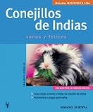 Conejillos de indias/Guinea Pigs (Mascotas En Casa)