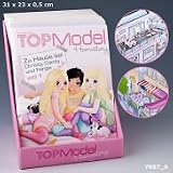 Create your TOPModel Homestory