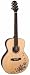 Takamine G540SBF NEX Solid Top Acoustic Guitar - Butterfly Motif