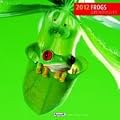 Fr�sche / Frogs 2012 Brosch�renkalender